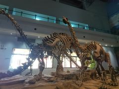 -自贡恐龙博物馆