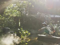 -广州兰圃