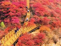 -香山公园