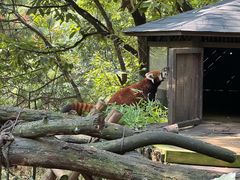 -云南野生动物园