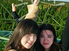 -黄海国家森林公园