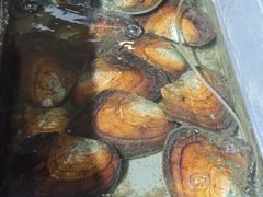 -十八字金·银饰·拼豆·开蚌DIY(魏公芳华里店)
