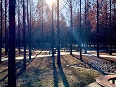-陕西师范大学(雁塔校区)