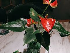-望湘园·湖南菜(我格广场店)