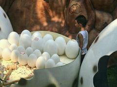 -朝阳公园游乐园