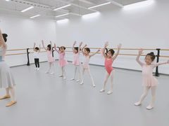 -中央芭蕾舞团·中芭艺蕾(酒仙桥明星校区)