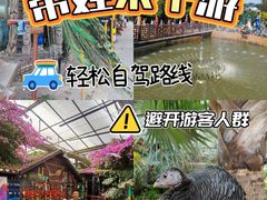 -呀路古热带植物园