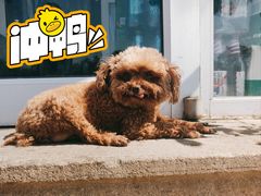 -渔家小院观海海肠捞饭地方菜(环海中路店)