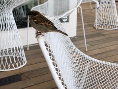 -Takapuna Beach Cafe