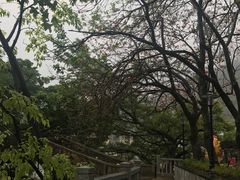 -广州市流溪河国家森林公园