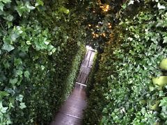 -顶层酒吧ROOF(上海艾迪逊酒店)