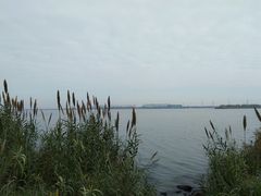 -漕湖湿地公园