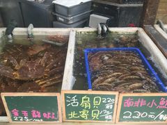 -上引水产