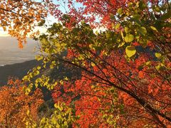 -北京十三陵国家森林公园蟒山景区