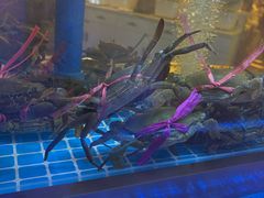 -杉杉奥特莱斯广场(哈尔滨店)