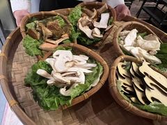 -滇野云南野生菌餐厅(陕西南路店)