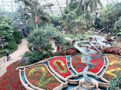 -南山植物园