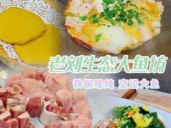 -老刘生态大鱼坊铁锅炖鱼(赛马场店)