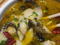 -72街红烧排骨饭(海珠丽影广场店)