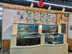 水产区-屯老二农家铁锅炖·行业领军者(梅江店)