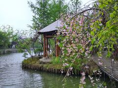-湘湖金融镇