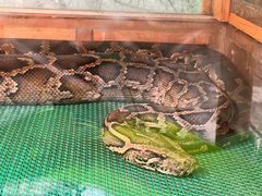 -上海大自然野生昆虫馆