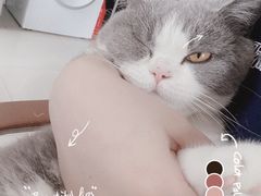 -袖虎·猫馆(体育西路店)