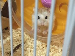 -龙猫仔乐园(惠福东路店)