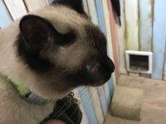 -小时光咖啡馆(开森度假森林店)