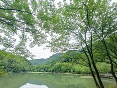 -神丽峡