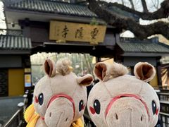 -南宋胡记(杭州灵隐寺店)