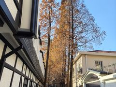 -一尺花园(安和花园店)