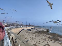 -星海广场