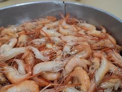 -水上鱼当家