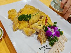 -新高记·粤菜·湛江鸡(南头古城店)