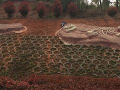 -西峡恐龙遗迹园