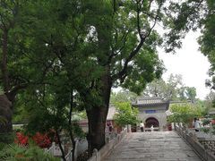 -红螺寺