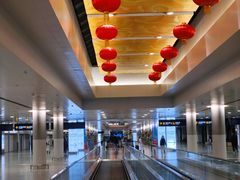 -上海浦东国际机场-T2航站楼