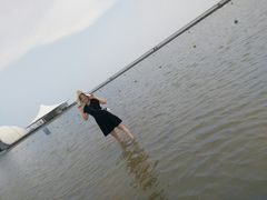 -碧海金沙