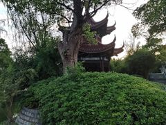 -韩湘水博园
