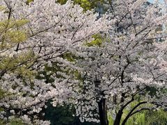 -西湖文化广场
