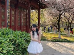 -堤角公园