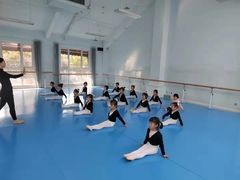 -西安小天鹅艺术团(曲江Alice店)