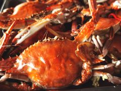 -张会海鲜饭店(东戴河店)