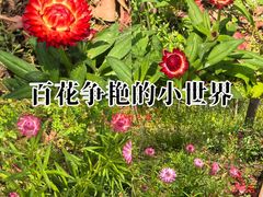 -上海交通大学(闵行校区)