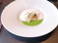香煎扇贝配香菜汁及椰奶奶沫-L'ATELIER de Joel Robuchon(外滩18号店)