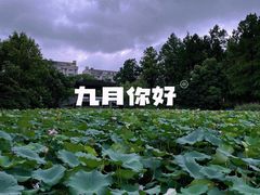 -范蠡湖公园