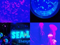 -沈阳海洋探索中心