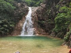 -南海湾森林生态园