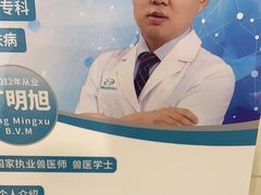 -北京观赏动物医院·24小时大型综合·猫专科·异宠专科